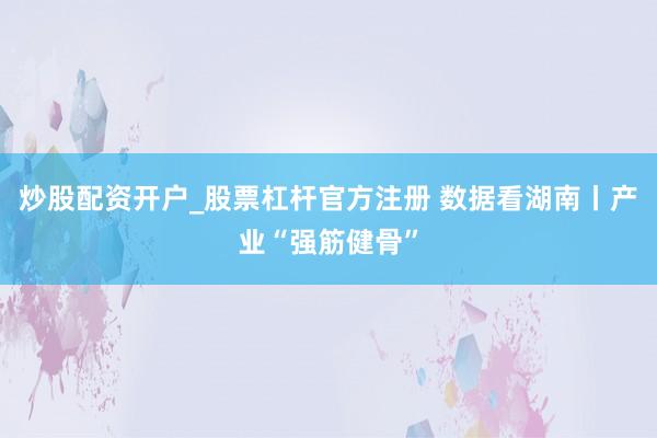 炒股配资开户_股票杠杆官方注册 数据看湖南丨产业“强筋健骨”