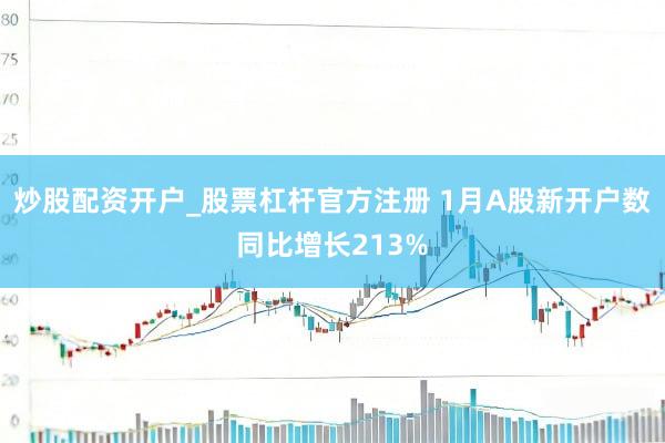 炒股配资开户_股票杠杆官方注册 1月A股新开户数同比增长213%