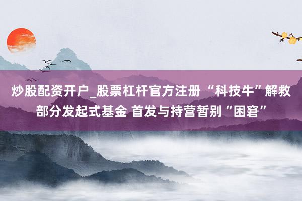 炒股配资开户_股票杠杆官方注册 “科技牛”解救部分发起式基金 首发与持营暂别“困窘”